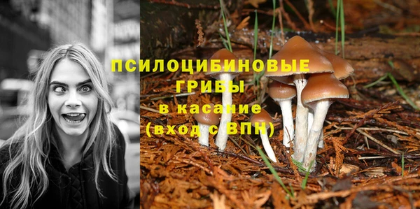 индика Краснотурьинск