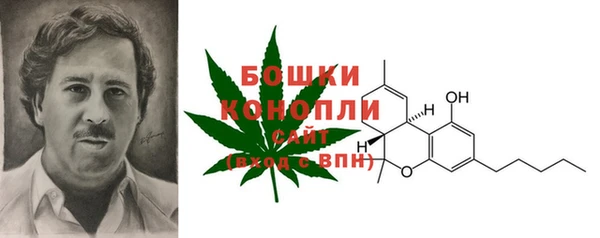 спайс Кулебаки