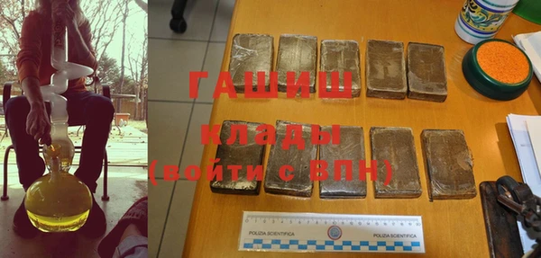 индика Краснотурьинск
