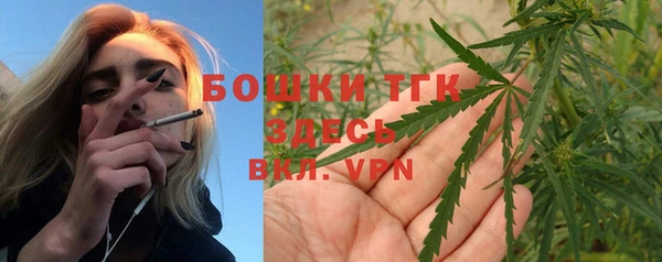 индика Краснотурьинск