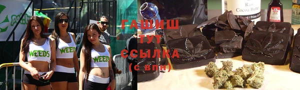 индика Краснотурьинск